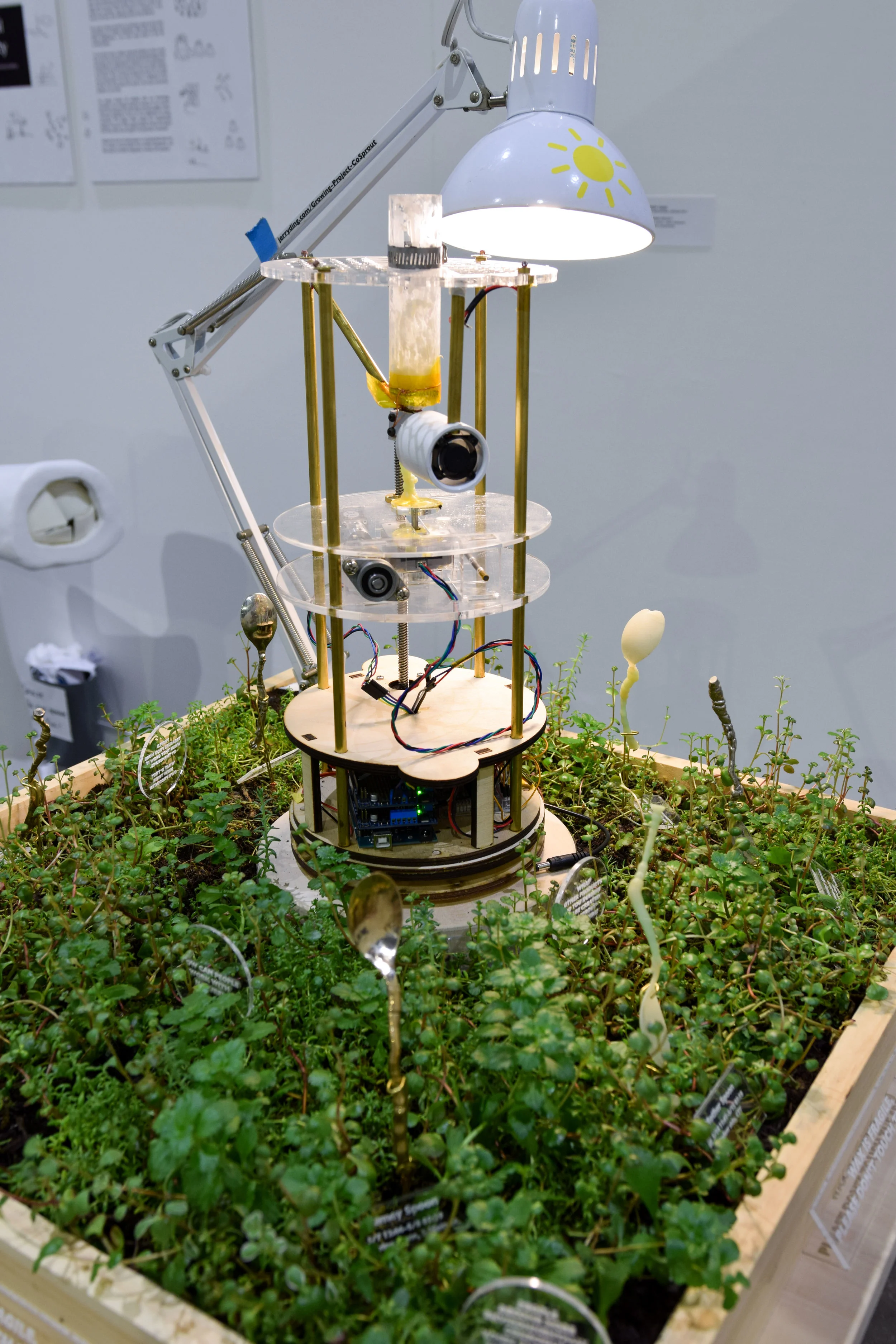 Grad Thesis Show 17 (22 of 28).jpg