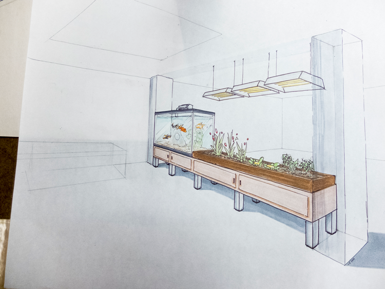 aquaponics002_9.png