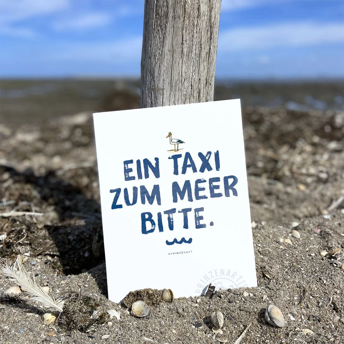 PK-beach14-1200-taxi.jpg