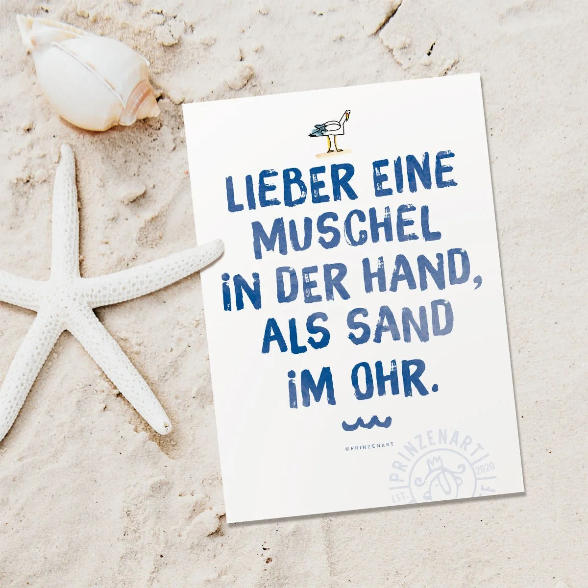 PK-beach46-1200-sandimohr.jpg
