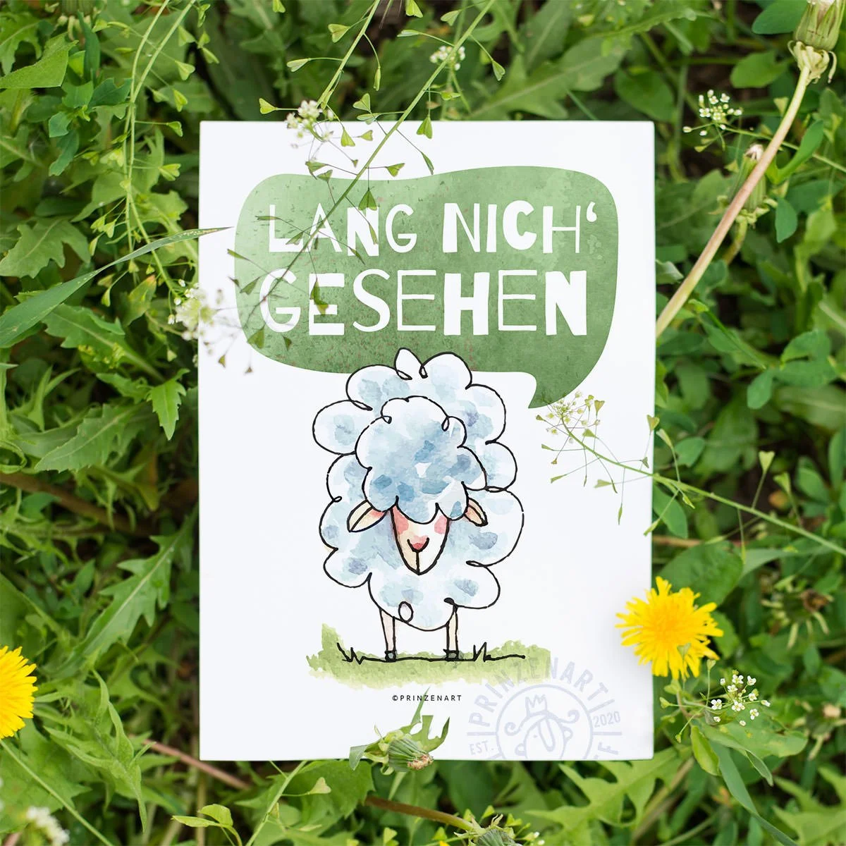 PK-KS-02-gras-01-1200-nich-gesehen.jpg