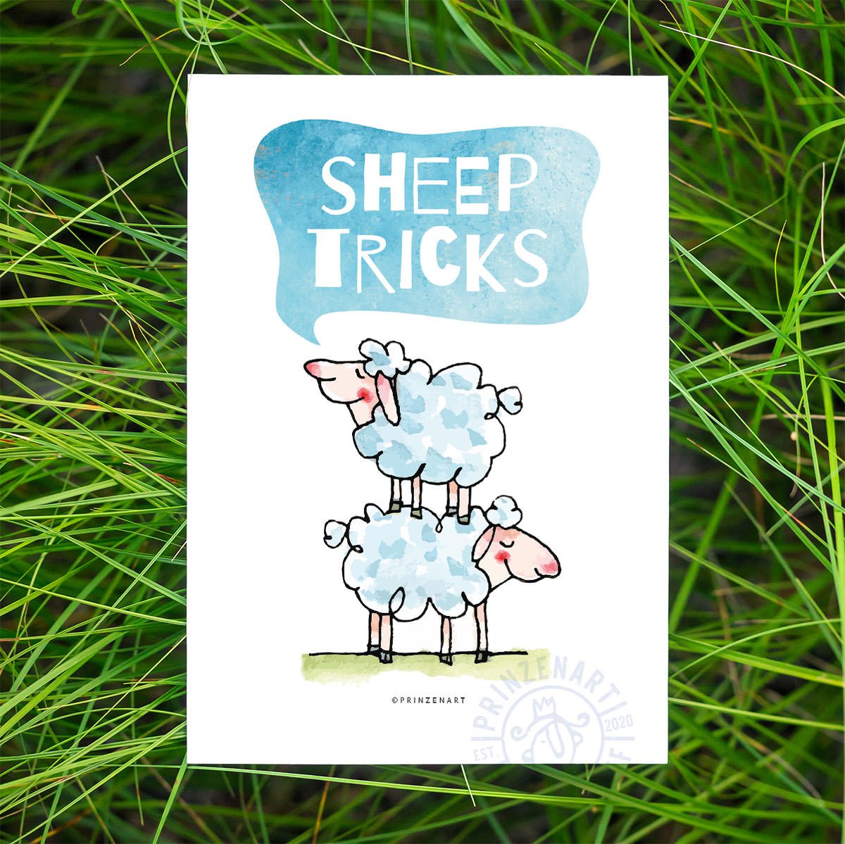 PK-KS-05-gras-09-1200-sheep-tricks.jpg