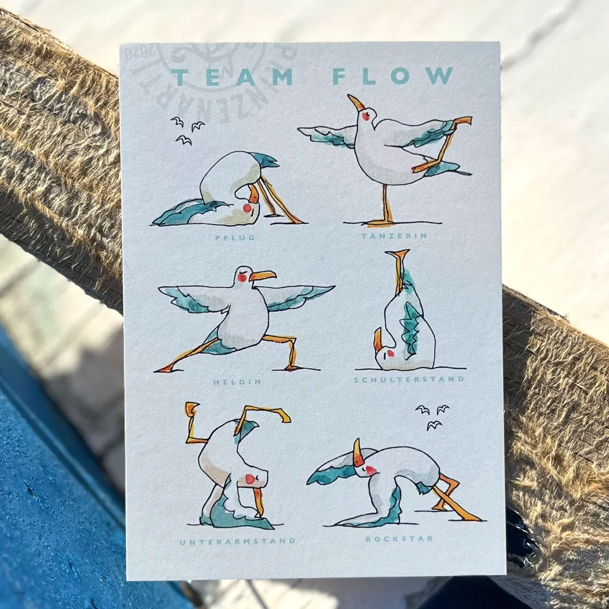 postkarte-yogamoewen-team-flow-ruder-shop.jpg