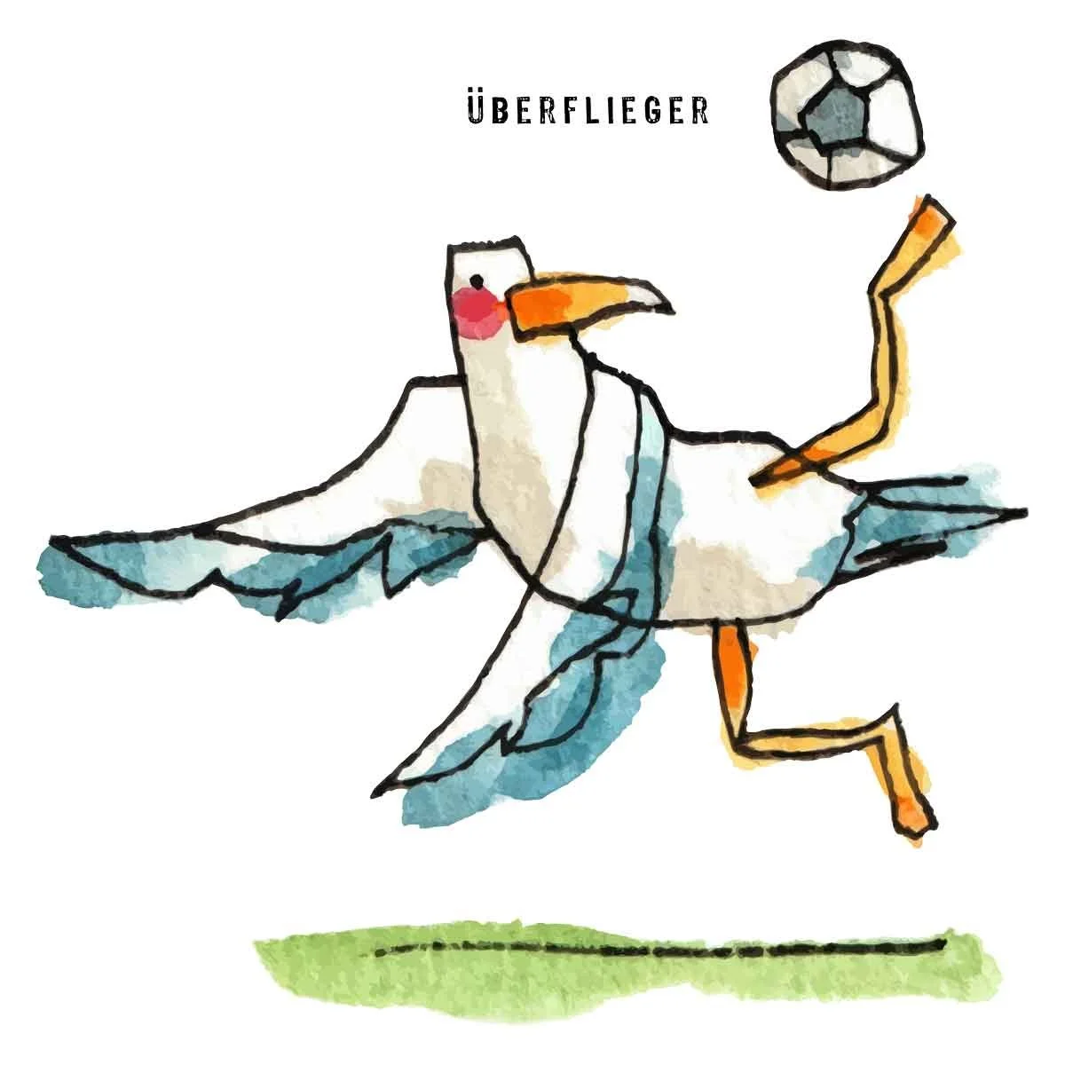 EM 2024, die Möwen kommen.