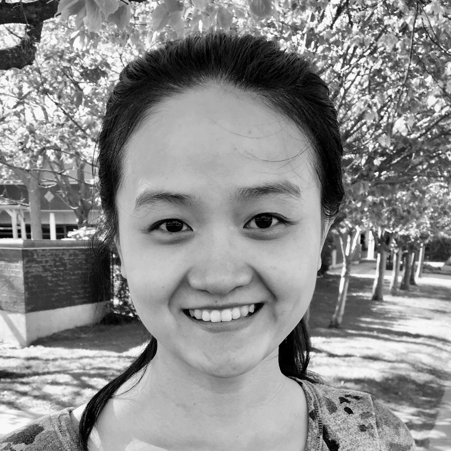 Xue Zhang