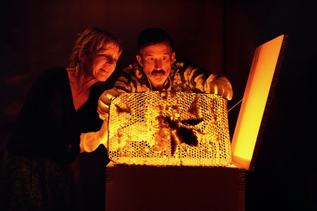 BIENE MAJA UNVERBLÜMT