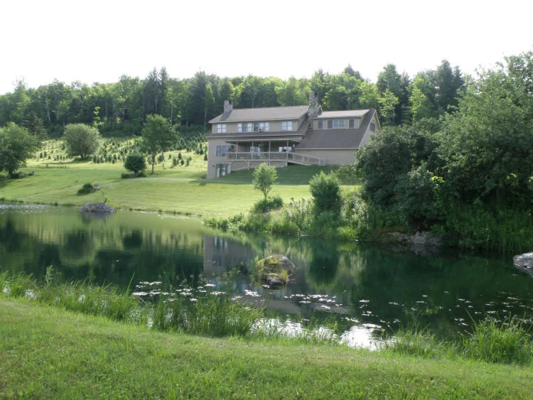 Stage Your Land to Help the Sale