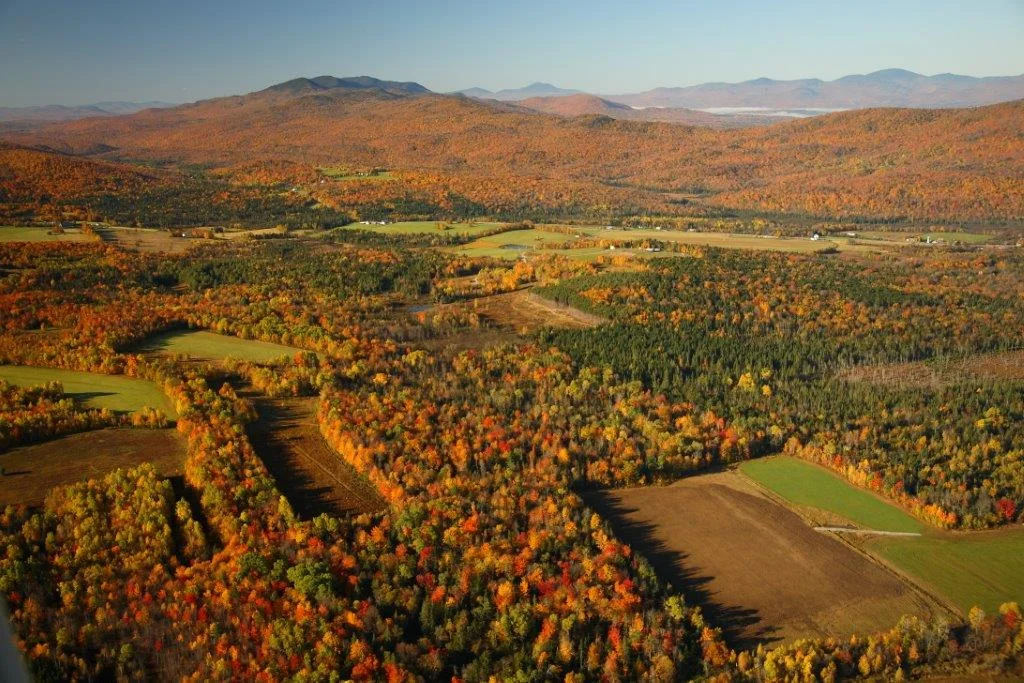 Tips for Buyers of Unsurveyed Land