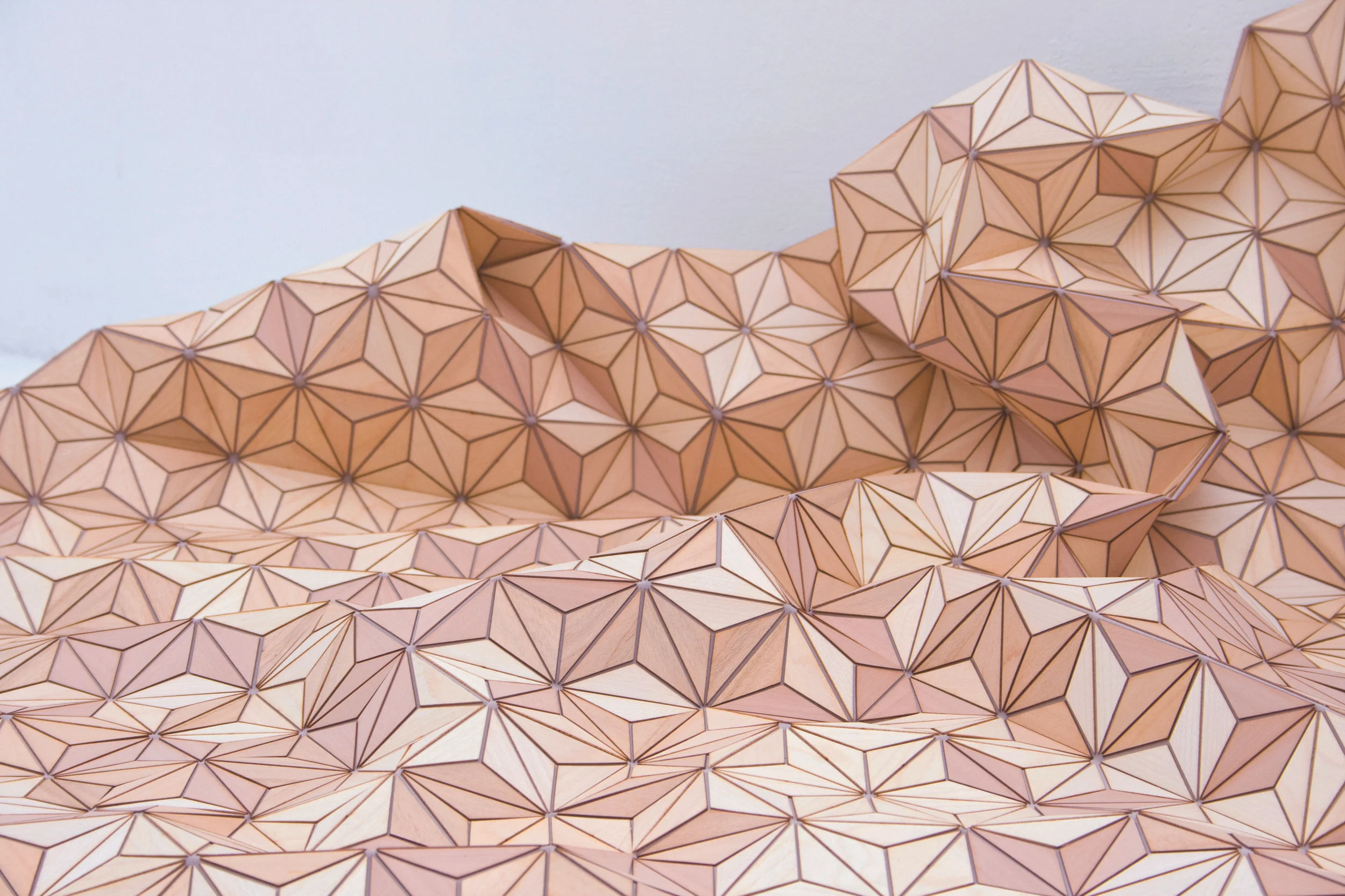 Elisa Strozyk , Wooden Textile, No 1 , 2010 (detail). Apple wood, cherry, beech, maple, silk. 47 1/4 x 70 3/4 in. Courtesy of the Artist. 2016.ES.01. Photo: Courtesy of Sebastian Neeb and Elisa Strozyk METHOD: Laser cut veneer wood, placed by hand