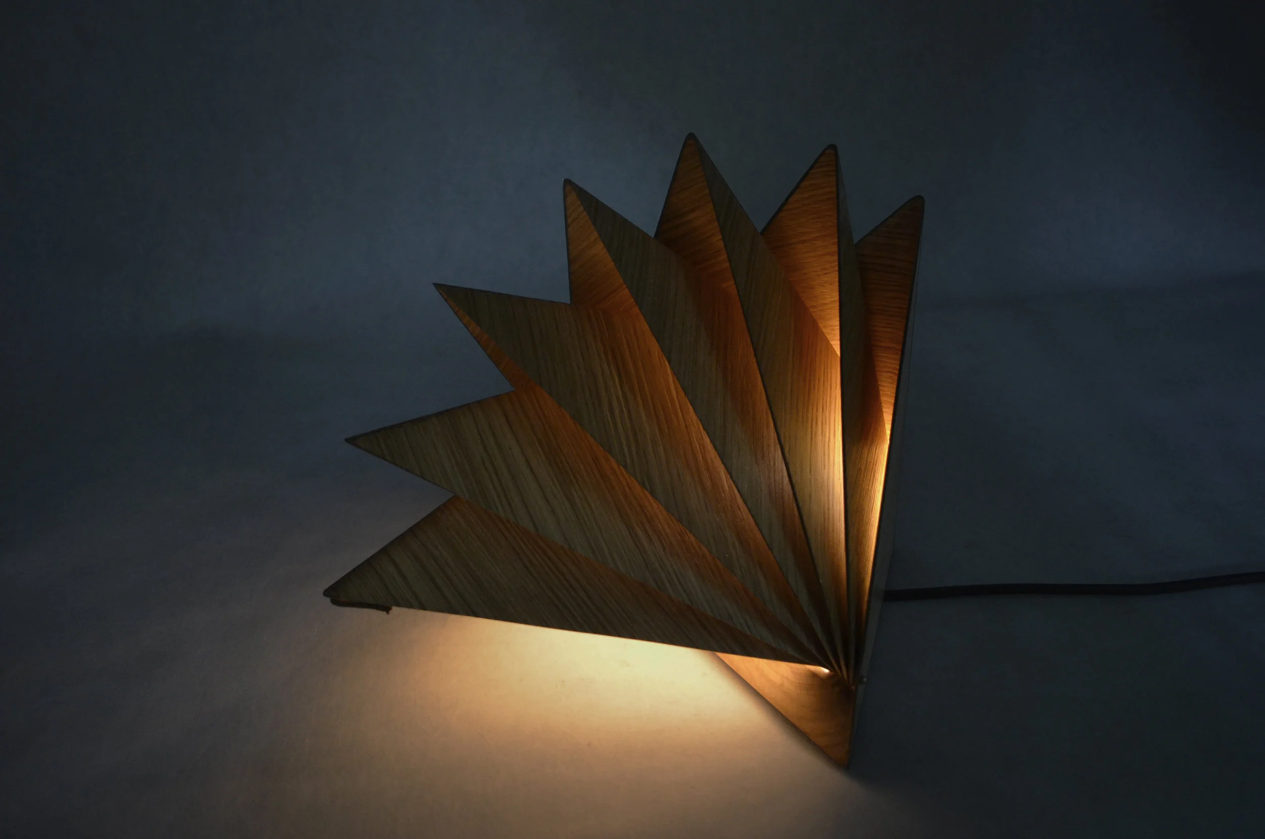 Klara Varosy , Bloom , 2016. Solid oak, oak veneer, Plexiglas, leather, brass hardware, LED bulb & components. Closed: 9 1/4 x 13 1/4 x 8 1/2 in. Open: 15 x 13 1/4 x 10 in. Courtesy of the Artist. 2016.KV.01. Photo: Courtesy of the Artist METHOD: CNC (Computer Numerical Control router), laser cut, laser engraved, wet-bent, vacuum formed, handcrafted