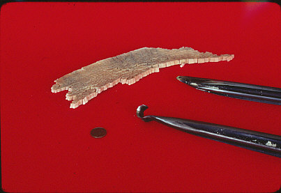 Fig. 12. Ed Moulthrop’s custom made hook and lance tools pictured with sample of his shavings, 1979. The Center for Art in Wood’s Fleur and Charles Bresler Research Library. Photo: Rick Sniffin