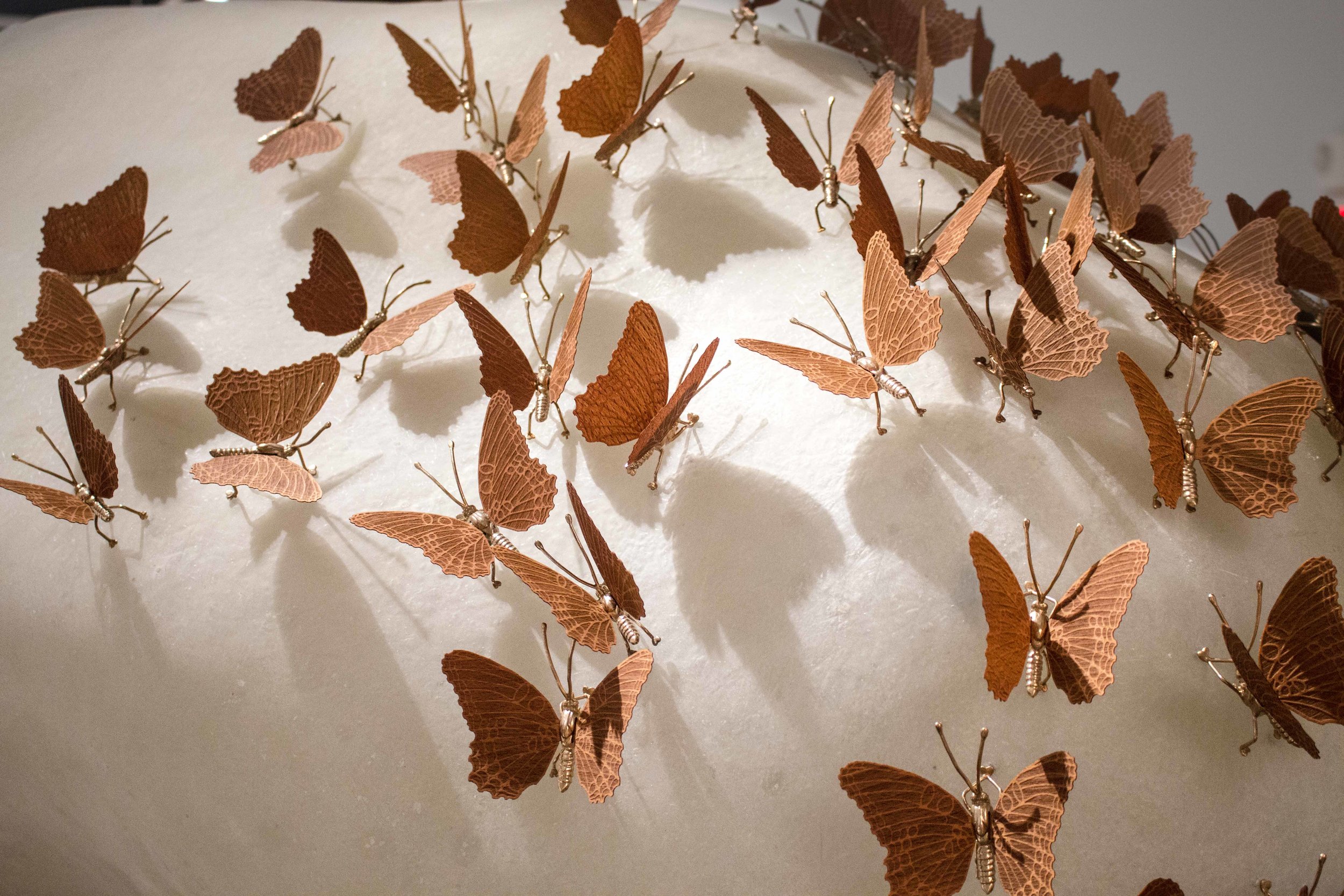Fig. 10. David Nosanchuk, Butterfly Asteroid , 2016