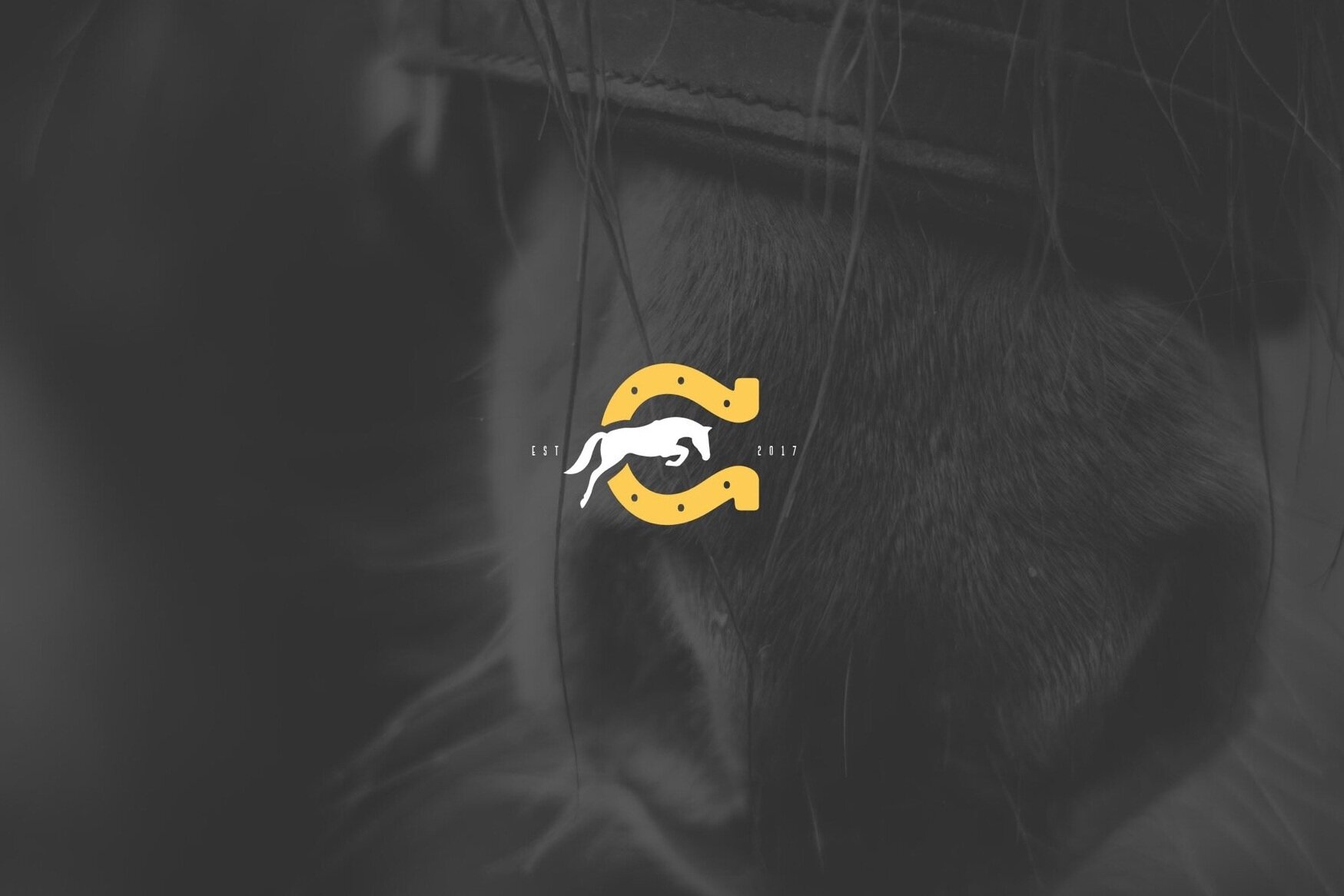 Branding | Logo (Copy)
