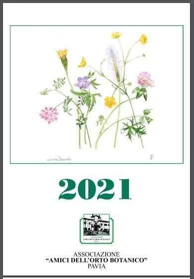 E' arrivato il calendario 2021!