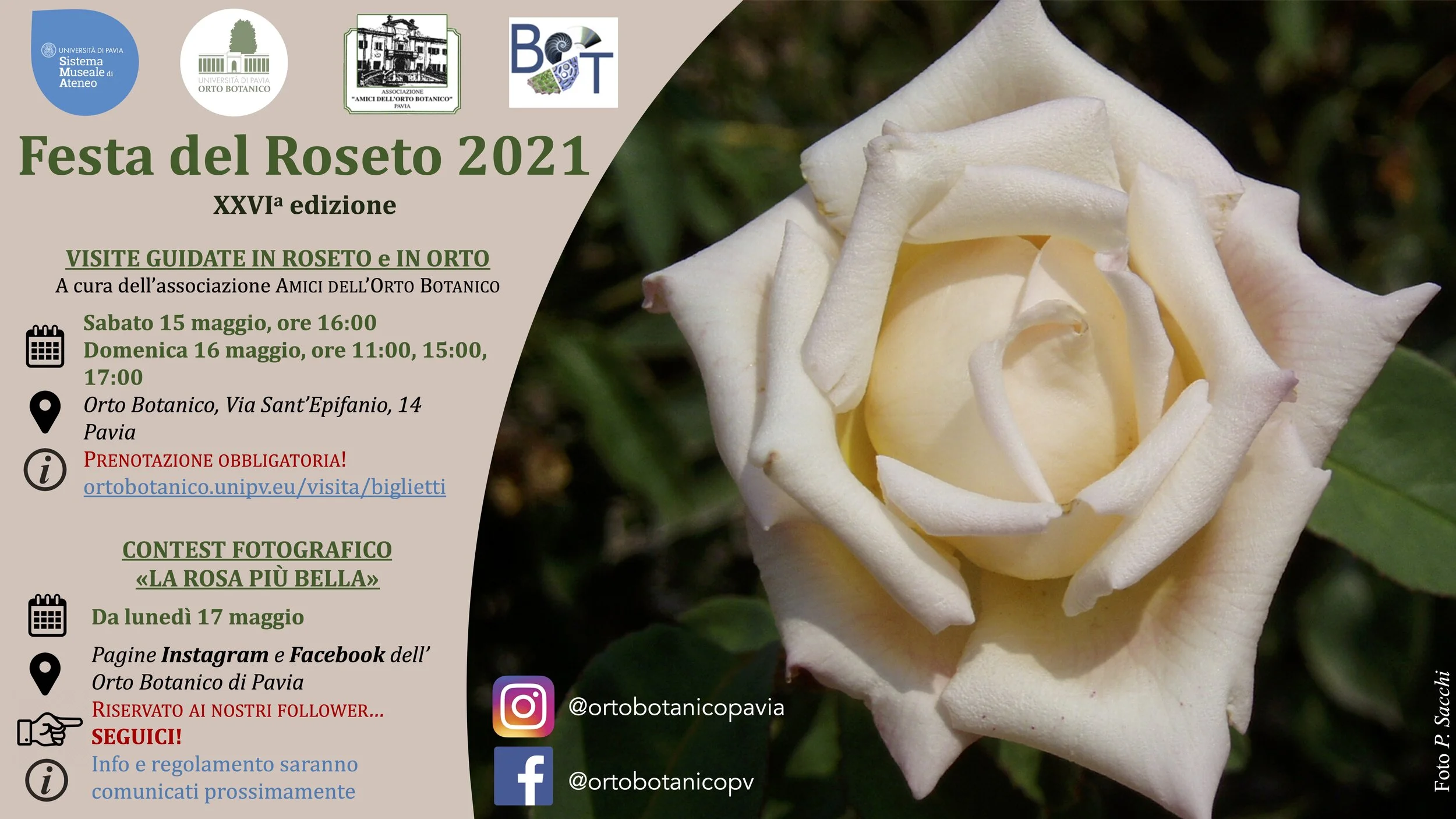 Festa del Roseto 2021