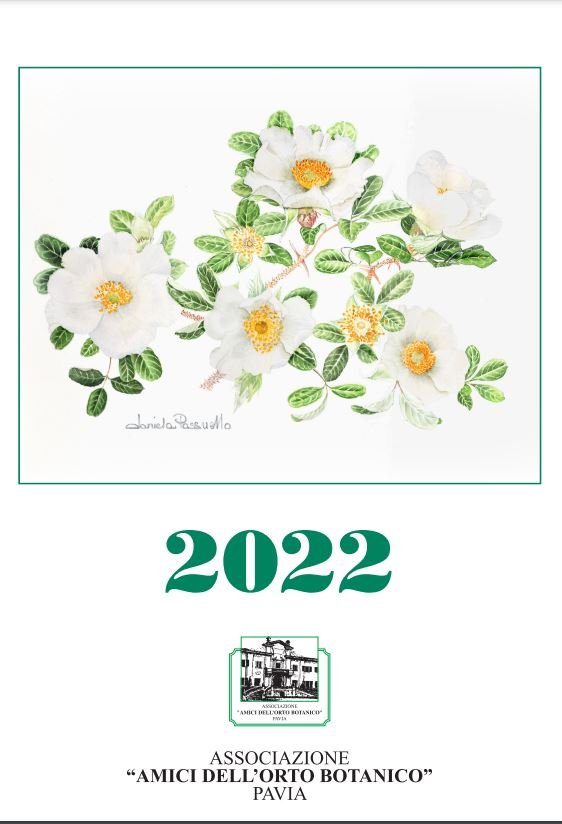 E' arrivato il calendario 2022!
