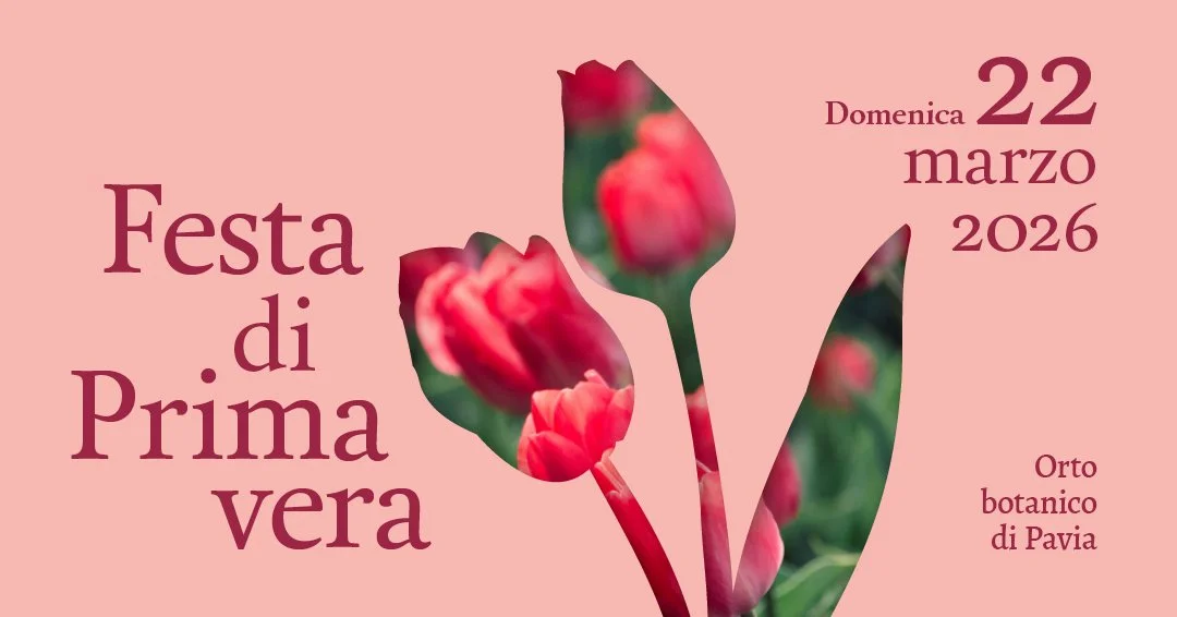 Festa di primavera 2026