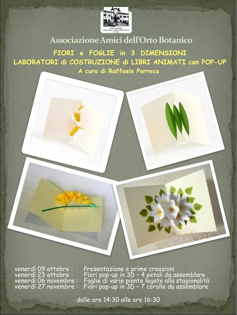Pop­-up flowers&nbsp; - 9 ottobre, venerdì ore 14.30 (data in attesa di conferma)