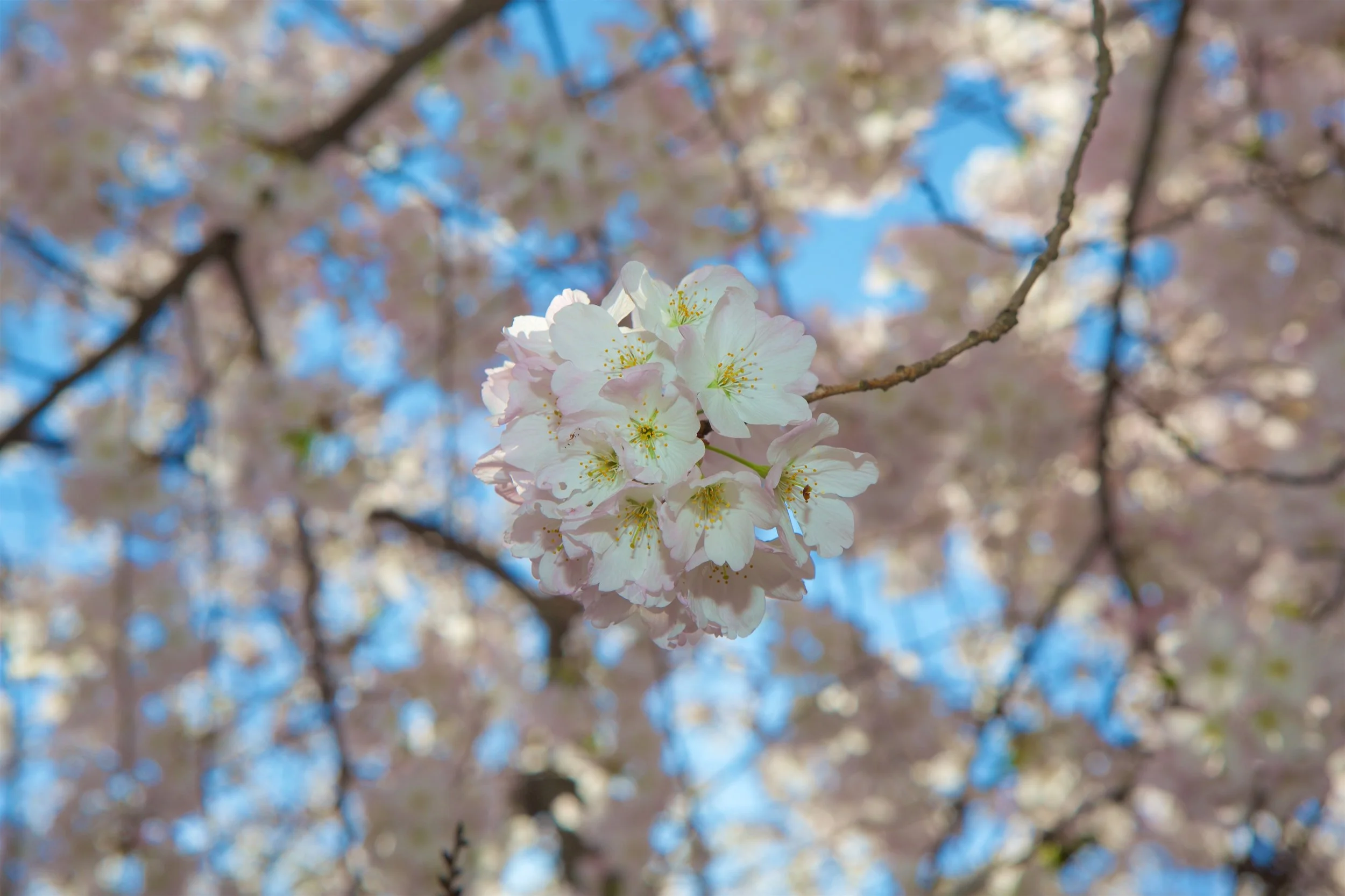IP5A7546 19.jpg