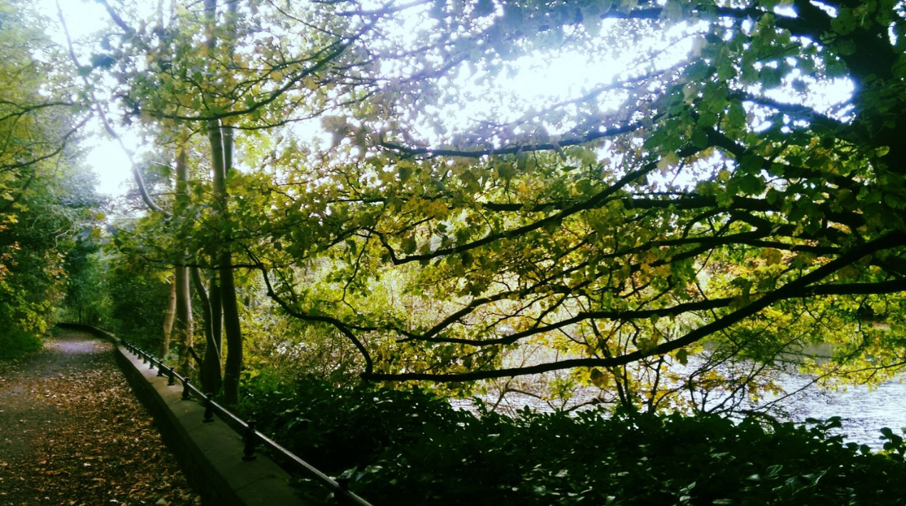 Water of Leith Walkway