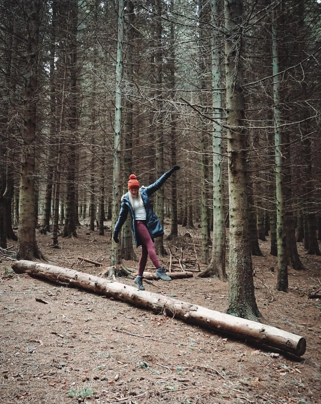 glentress forest