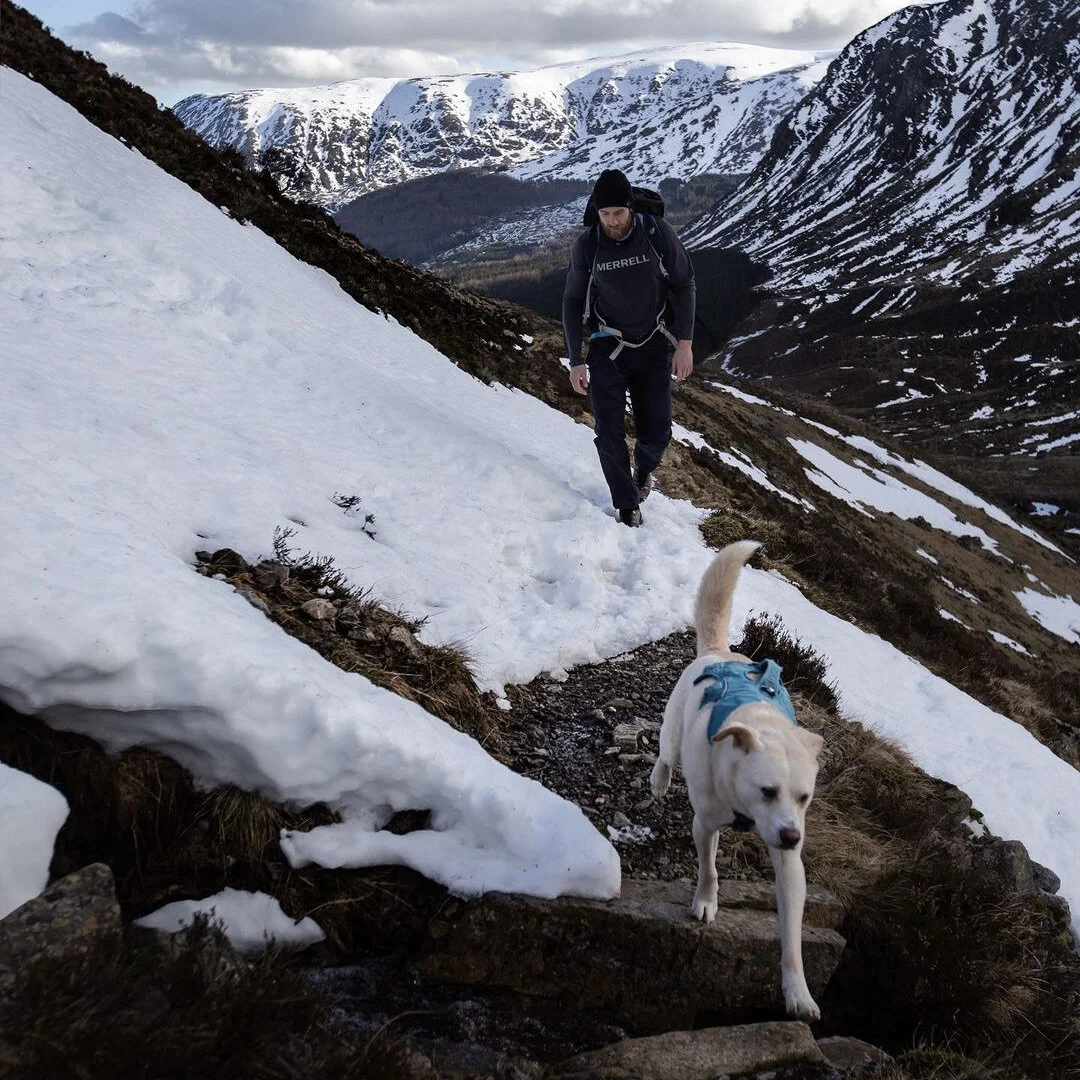 Tristan and Nacho hiking  - @tristancameronharper