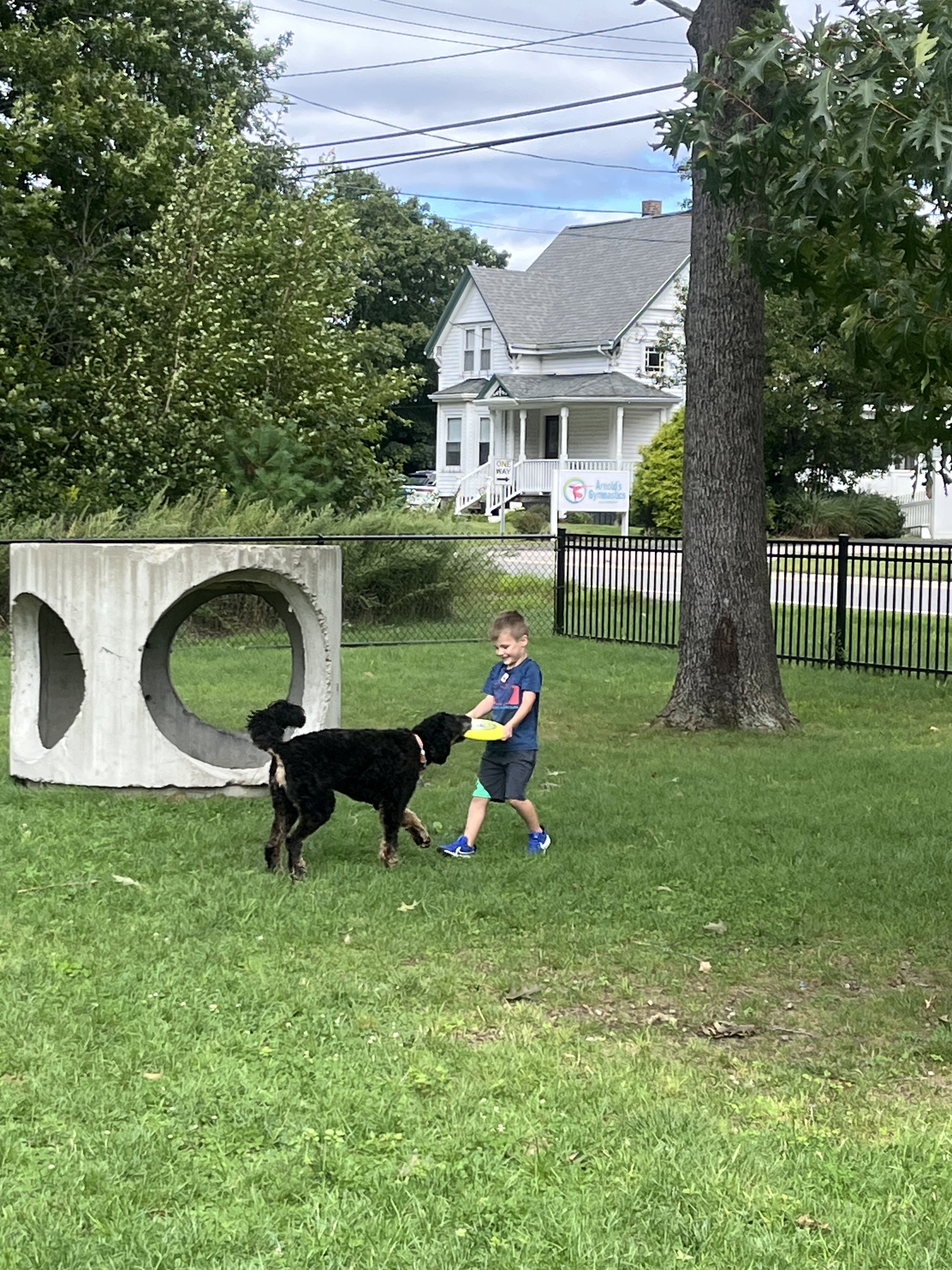 Improving Mental Fitness by Minimalizing!