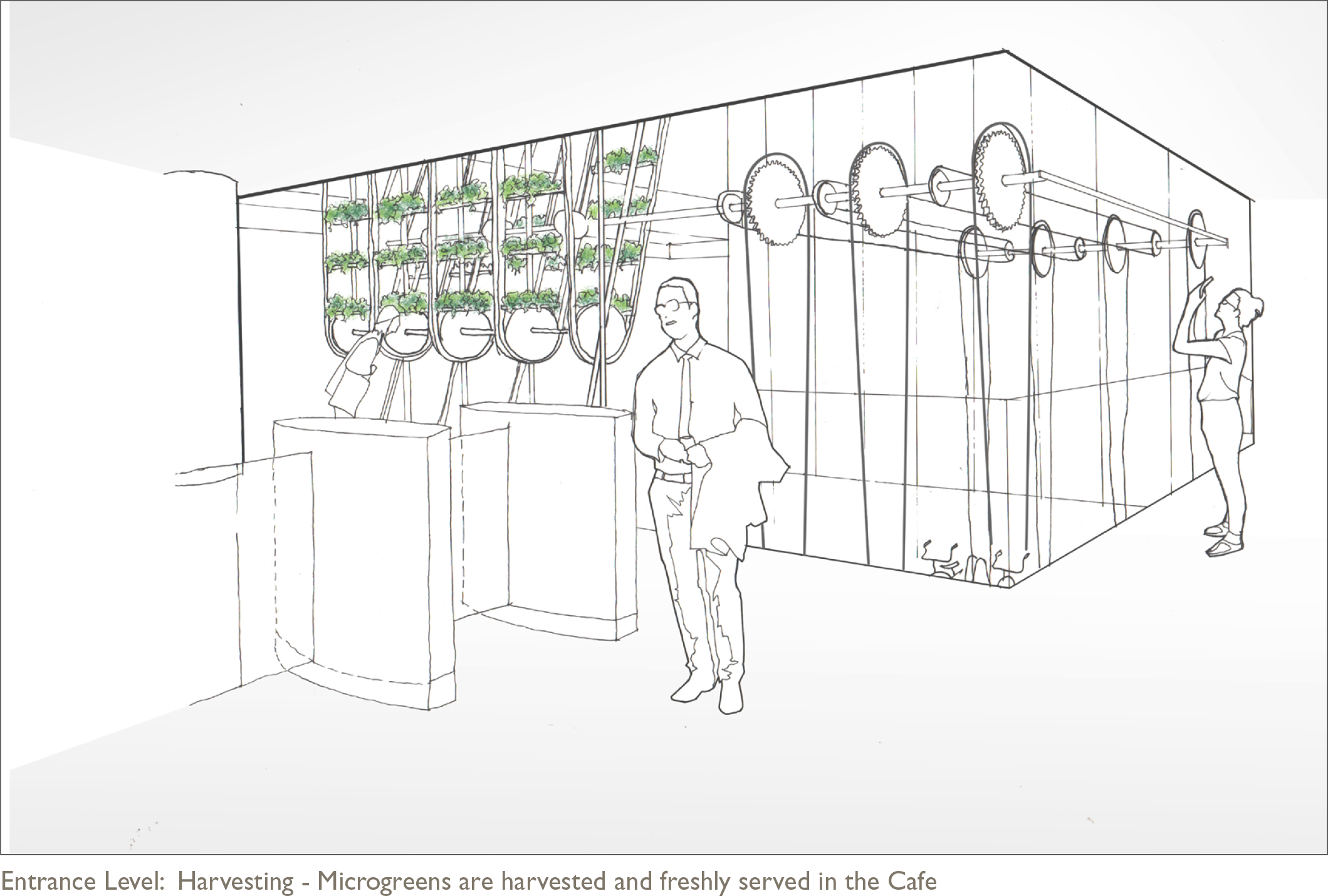 CROP CYCLE aims to: • Evoke delight with lettuce, garlic chives and mustard grass. • Elicit joy with a spectacular mechanism, an organic process and a tangible (and edible) output. • Promote interactive engagement for Arup staff using a cycle-based meeting / breakout space to generate power and motion. • Encourage social interaction with communal harvesting of microgreens and consumption of these in the cafe. • Integrate with the existing architecture by suspending from the cleaning gantry, supporting at basement level, and creating a visual connection to the cafe. • Explore the Circular Economy in the Built Environment by identifying urban voids as opportunities for vertical farming of microgreens. Solar energy, water and kinetic energy is provided by the building and its occupants.