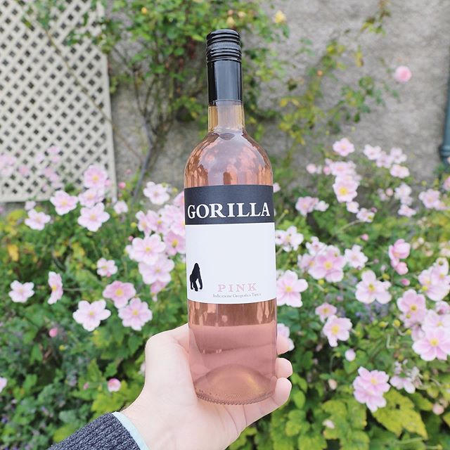 Drink pink, think gorilla. Add a touch of Sicily to your ros&eacute; selection
&bull;
&bull;
&bull;
#drinkpink #ros&eacute;wine #sicily #ros&eacute;lifestyle #ros&eacute;allday #yeswayros&eacute; #ros&eacute;vibes #italianwine #italy #italia #gorilla