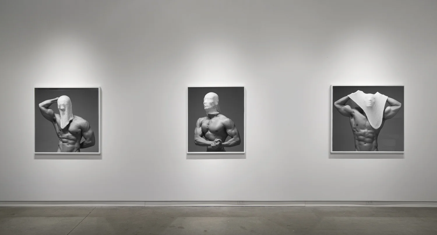Beside Myself (2011), chromogenic print; all prints are 40" in height Installation view of Beside Myself at Daniel Faria Gallery, Toronto, Canada