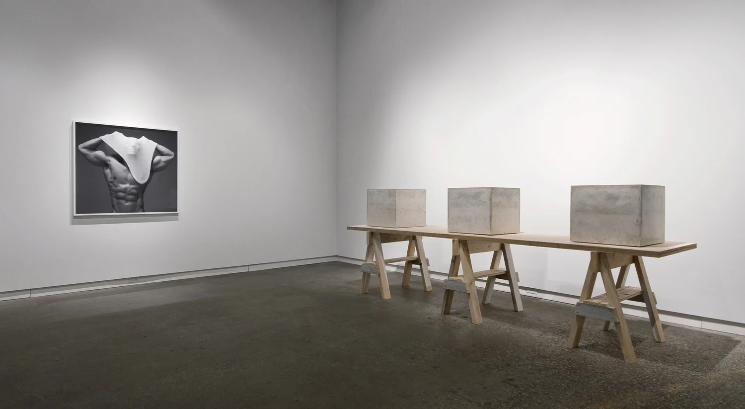 Proud Flesh (2011), cast concrete and glass, three objects; 18” x 18” x 18” Beside Myself (2011), chromogenic print; all prints are 40" in height Installation view of Beside Myself at Daniel Faria Gallery, Toronto, Canada