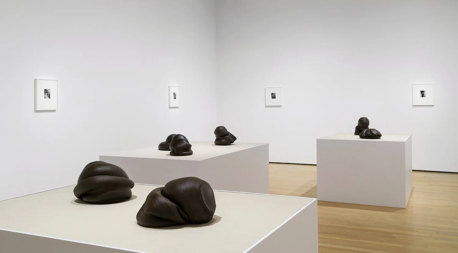 Sixes and Sevens (2016) ceramic, sizes variable Kiss Portfolio (2016) gelatin silver print, 4” x 5”, from a portfolio of 8 images Installation view at La Biennale de Montréal , Musée d’art contemporain de Montréal, Montréal, Canada
