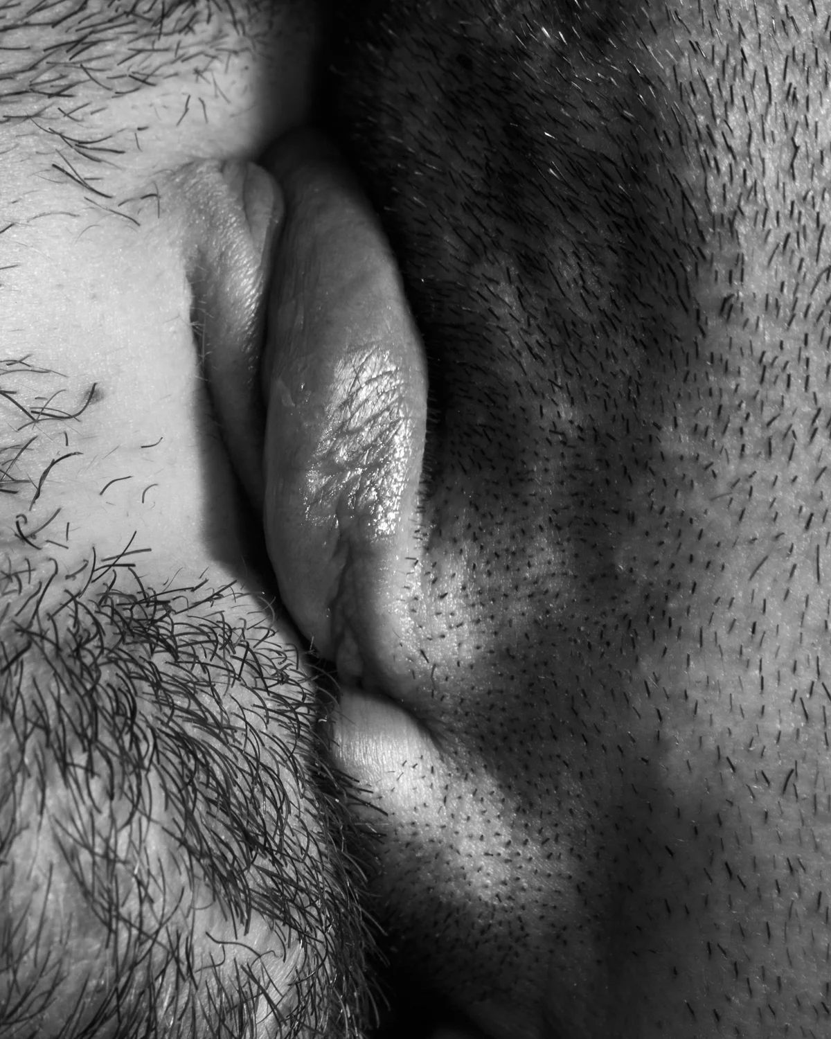 Kiss Portfolio (2016) gelatin silver print, 4” x 5”, from a portfolio of 8 images