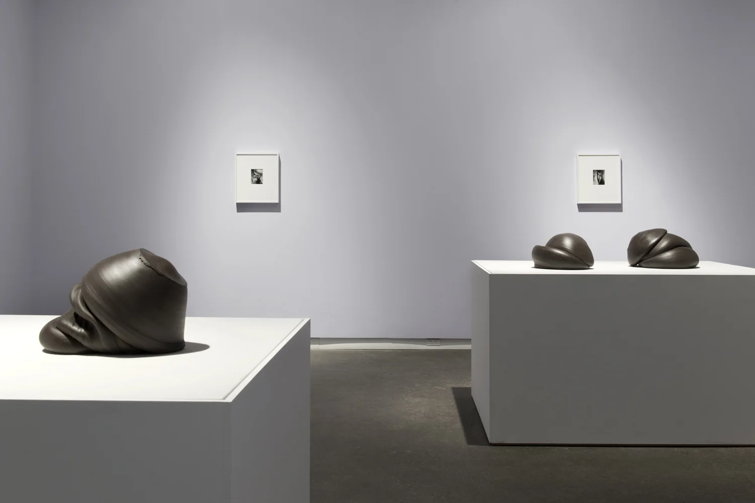 Sixes and Sevens (2017) ceramic, sizes variable Kiss Portfolio (2016) gelatin silver print, 4” x 5”, from a portfolio of 8 images Installation view of Unruly Matter at Daniel Faria Gallery, Toronto, Canada