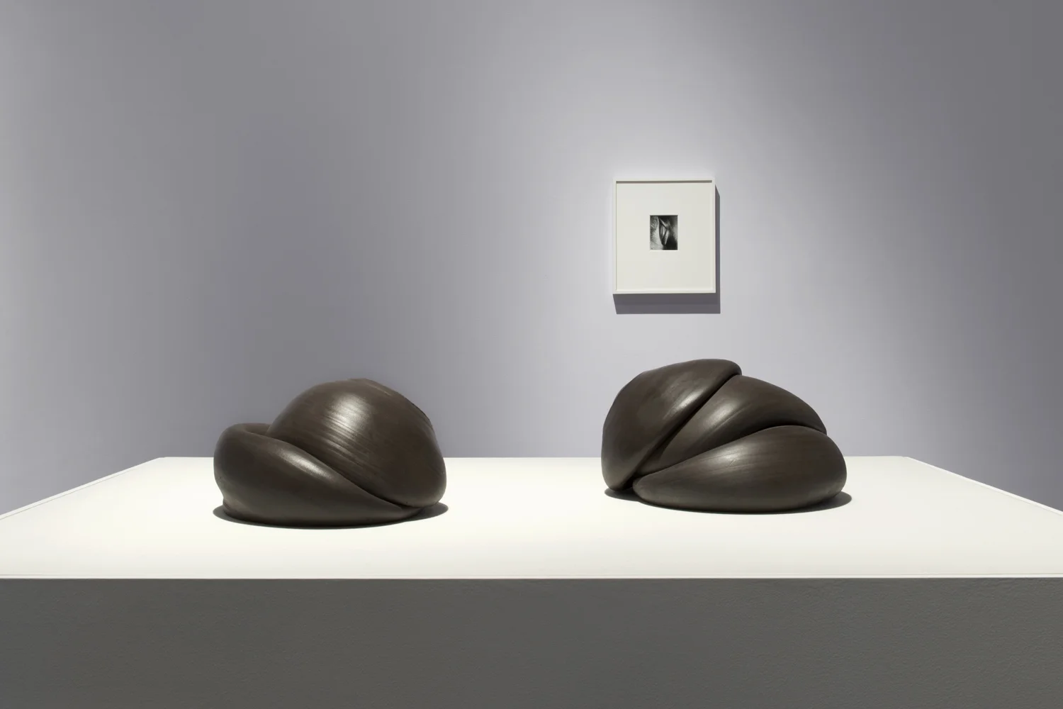 Sixes and Sevens (2017) ceramic, sizes variable Kiss Portfolio (2016) gelatin silver print, 4” x 5”, from a portfolio of 8 images Installation view of Unruly Matter at Daniel Faria Gallery, Toronto, Canada