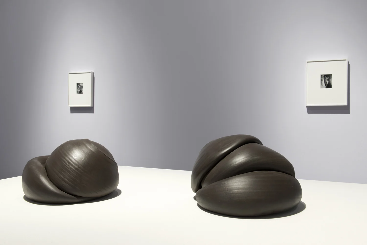 Sixes and Sevens (2017) ceramic, sizes variable Kiss Portfolio (2016) gelatin silver print, 4” x 5”, from a portfolio of 8 images Installation view of Unruly Matter at Daniel Faria Gallery, Toronto, Canada