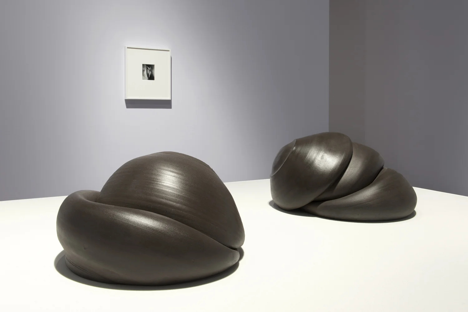 Sixes and Sevens (2017) ceramic, sizes variable Kiss Portfolio (2016) gelatin silver print, 4” x 5”, from a portfolio of 8 images Installation view of Unruly Matter at Daniel Faria Gallery, Toronto, Canada
