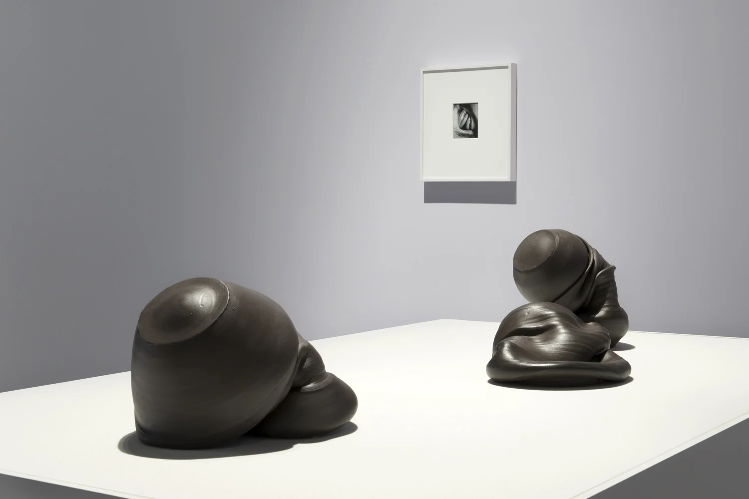 Sixes and Sevens (2017) ceramic, sizes variable Kiss Portfolio (2016) gelatin silver print, 4” x 5”, from a portfolio of 8 images Installation view of Unruly Matter at Daniel Faria Gallery, Toronto, Canada