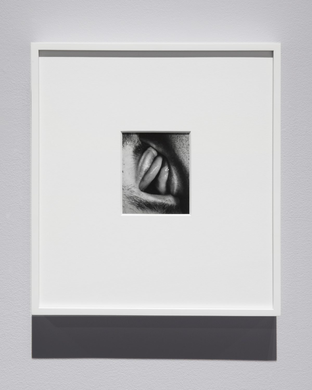   Kiss Portfolio &nbsp;(2016) gelatin silver print, 4” x 5”, from a portfolio of 8 images  Installation view of  Unruly Matter  at Daniel Faria Gallery, Toronto, Canada 