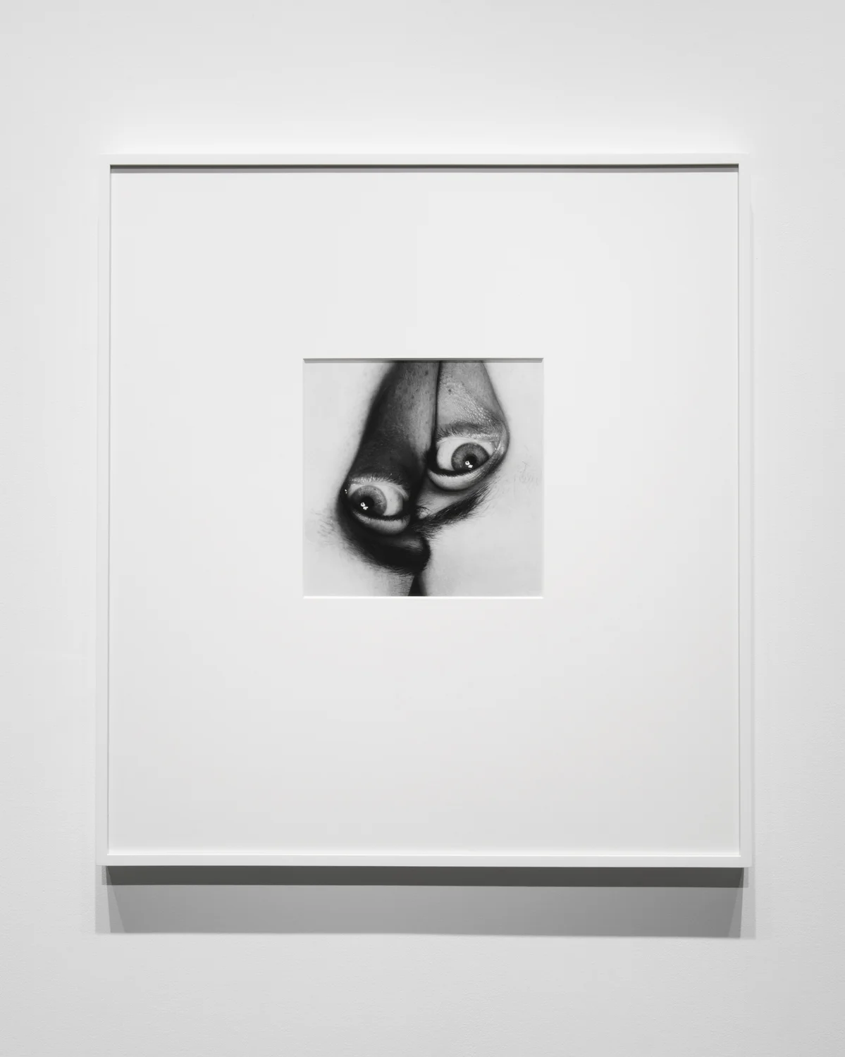 Seem (2016) gelatin silver print, 12” x 12” Installation view of Unruly Matter at Daniel Faria Gallery, Toronto, Canada
