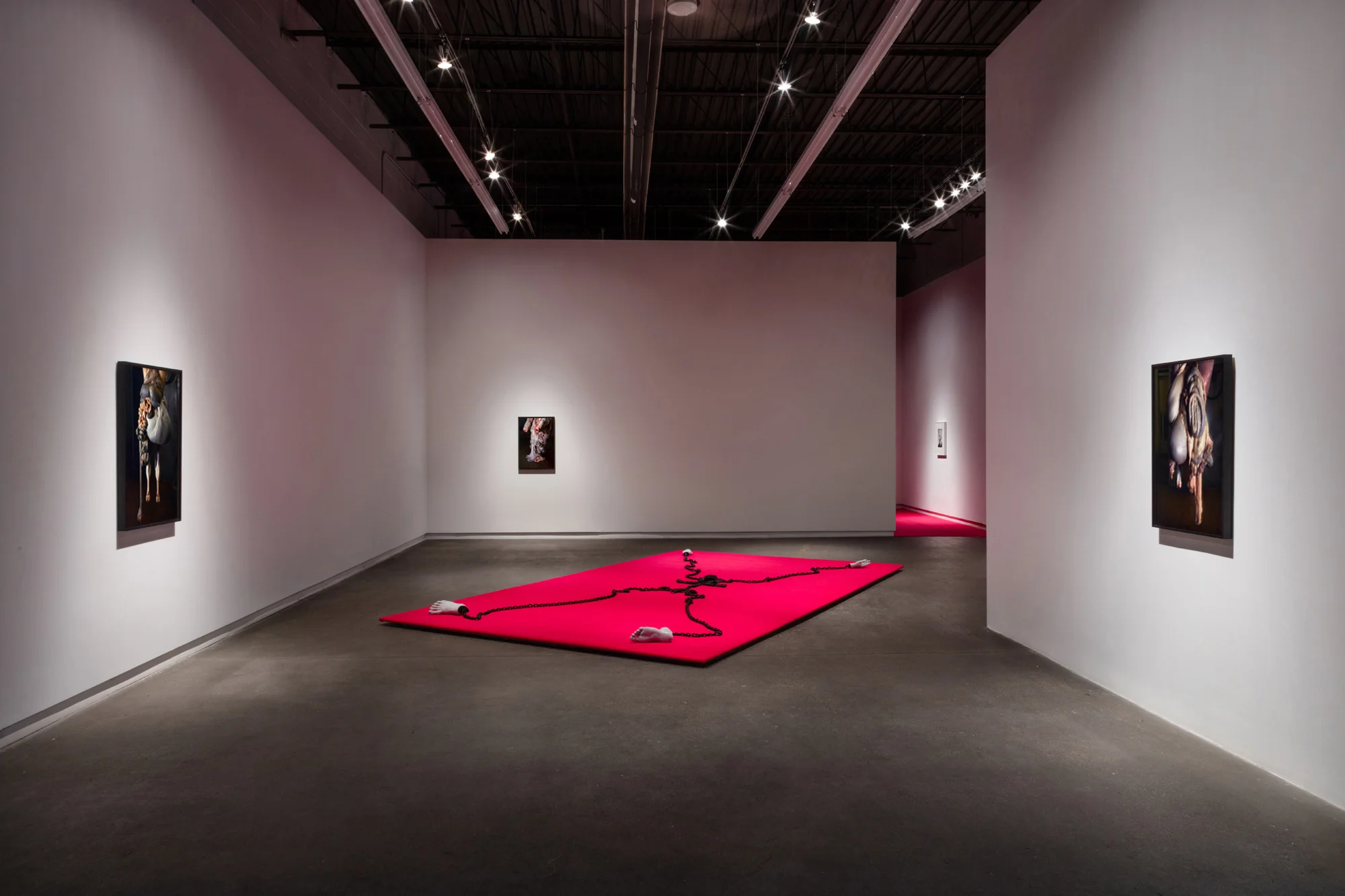 Insomniac (2019) chromogenic prints 35.5” x 23.3” 28” x 19” 31” x 20.5” As Is (2019) leather, metal, silicone, resin dimensions variable Bloom (2019) gelatin silver print 13” x 9.5” Installation view of The Ventriloquist at Daniel Faria Gallery, Toronto, Canada