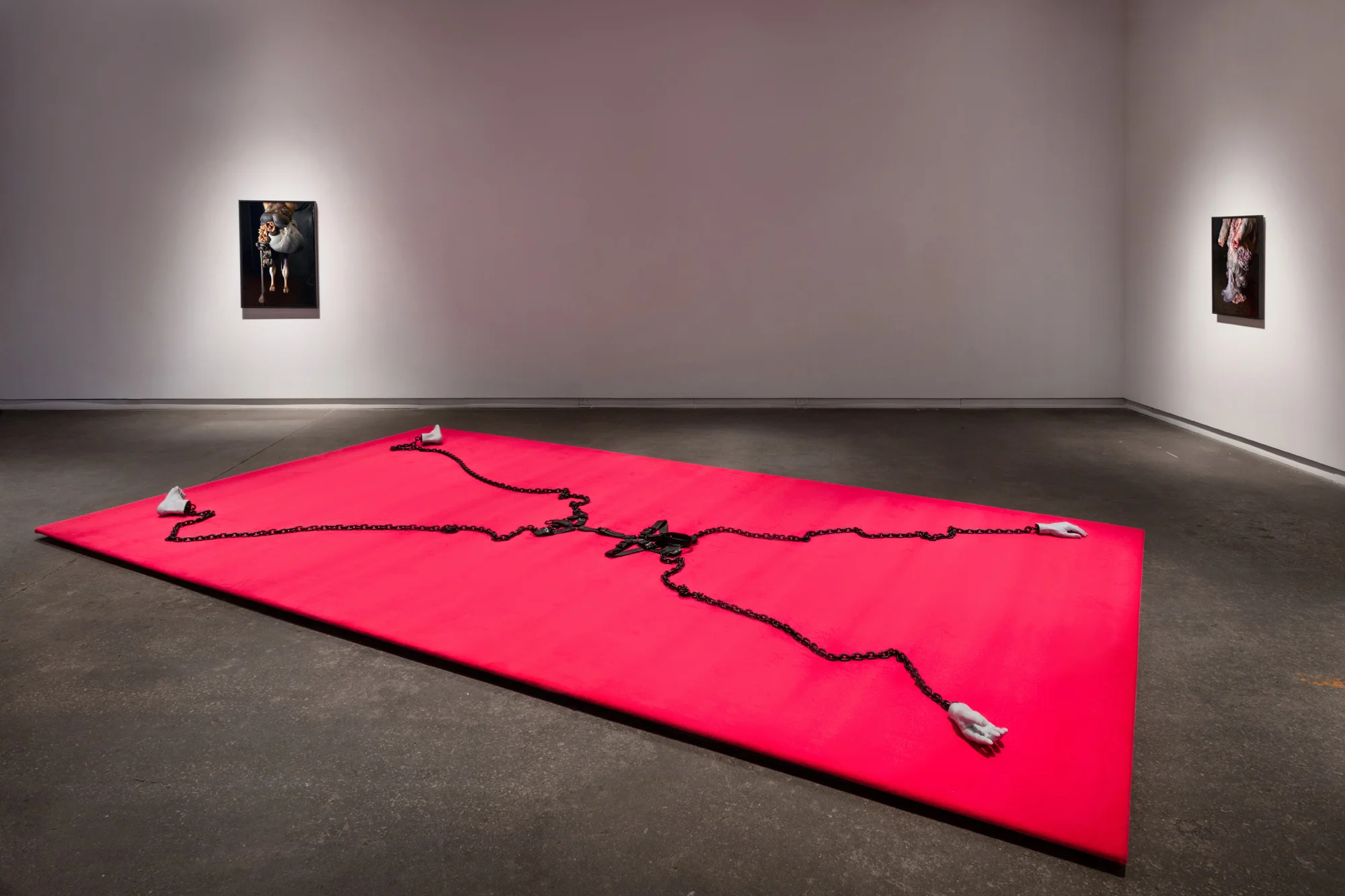Insomniac (2019) chromogenic prints 35.5” x 23.3” 28” x 19” As Is (2019) leather, metal, silicone, resin dimensions variable Installation view of The Ventriloquist at Daniel Faria Gallery, Toronto, Canada