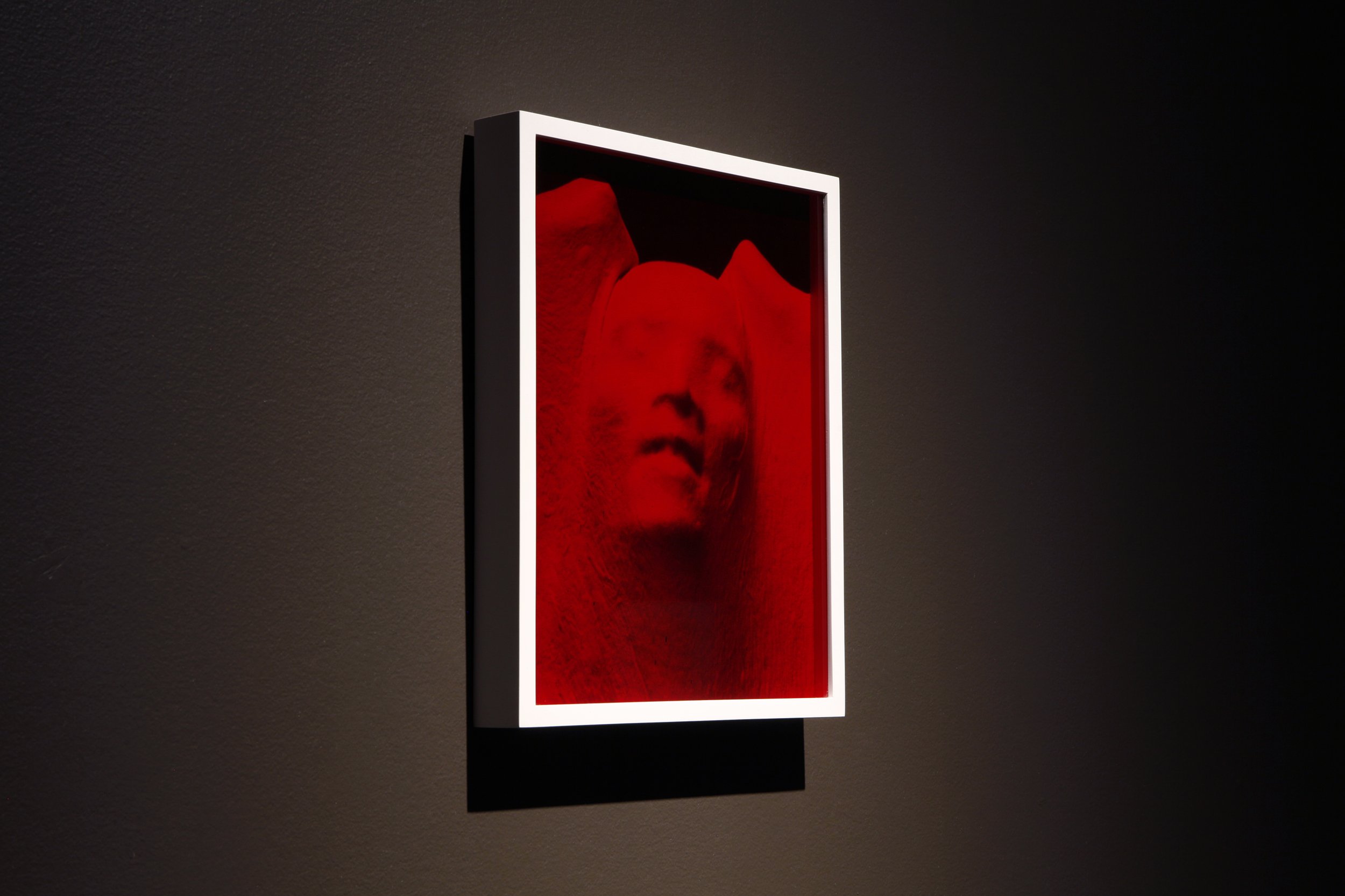   Proud Flesh  (2011) chromogenic print and glass 15” x 12”  Installation view of  The Dark Room  at Agnes Etherington Art Centre, Kingston, Canada 