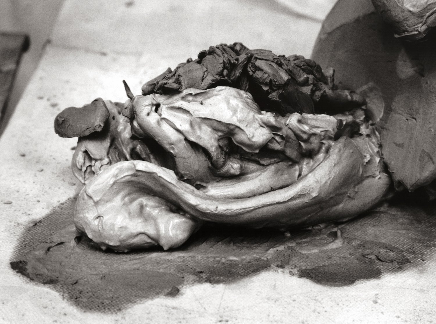   Untitled (Clay Portfolio)  (2013) gelatin silver print, 7 3/4′′ x 5 3/4′′, from a portfolio of 21 images 