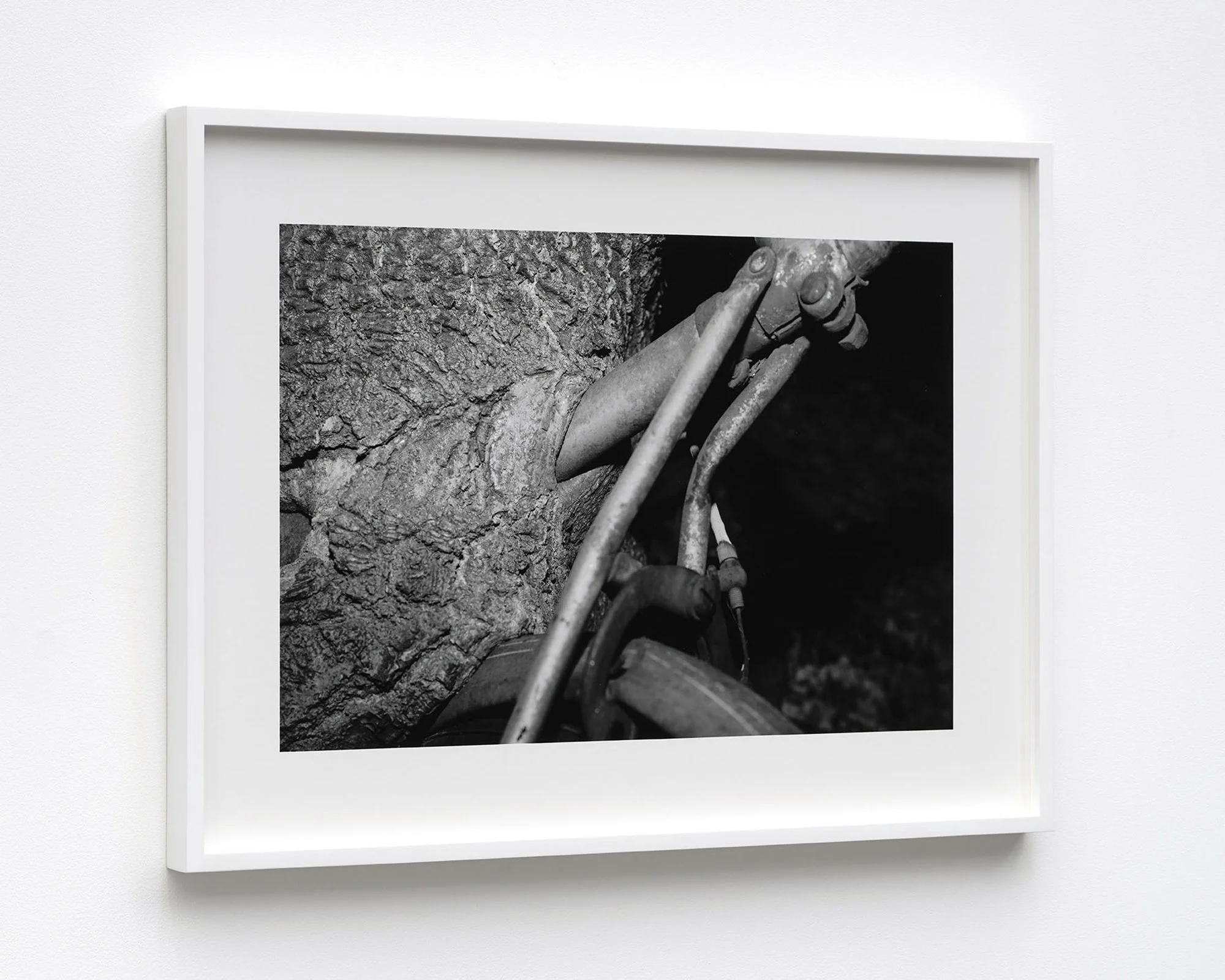   August 17, 2021  (2022) gelatin silver print 20” x 27” 