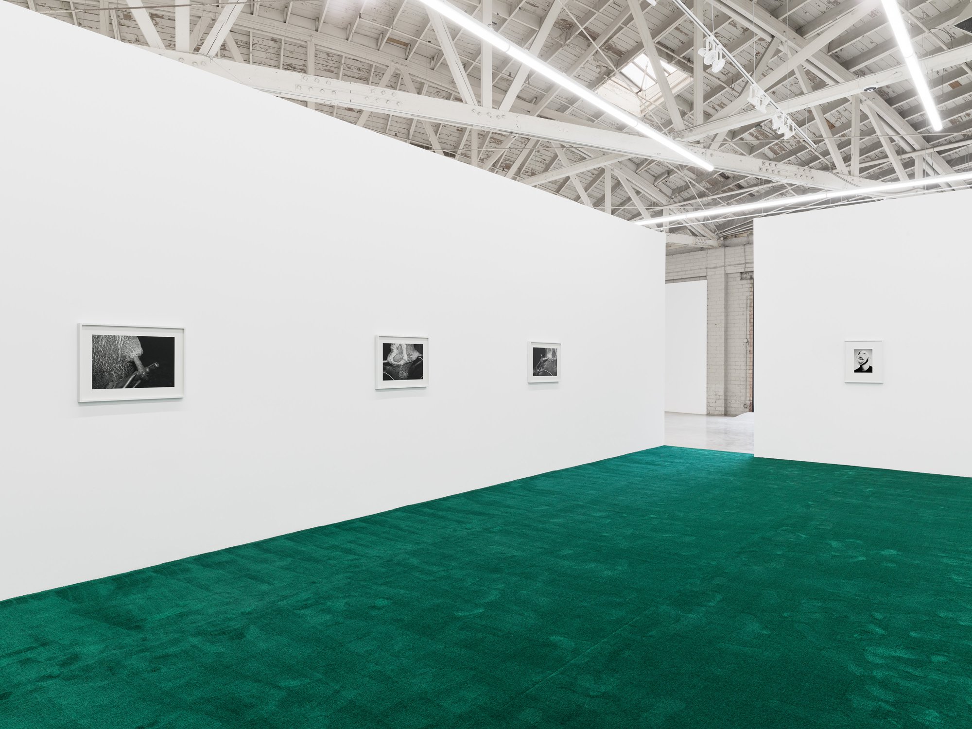   August 17, 2021  (2022) gelatin silver prints 20” x 27”   Bloom &nbsp;(2019) gelatin silver print 13” x 9.5”  Installation view of  One Eye Open  at Night Gallery, Los Angeles, USA 