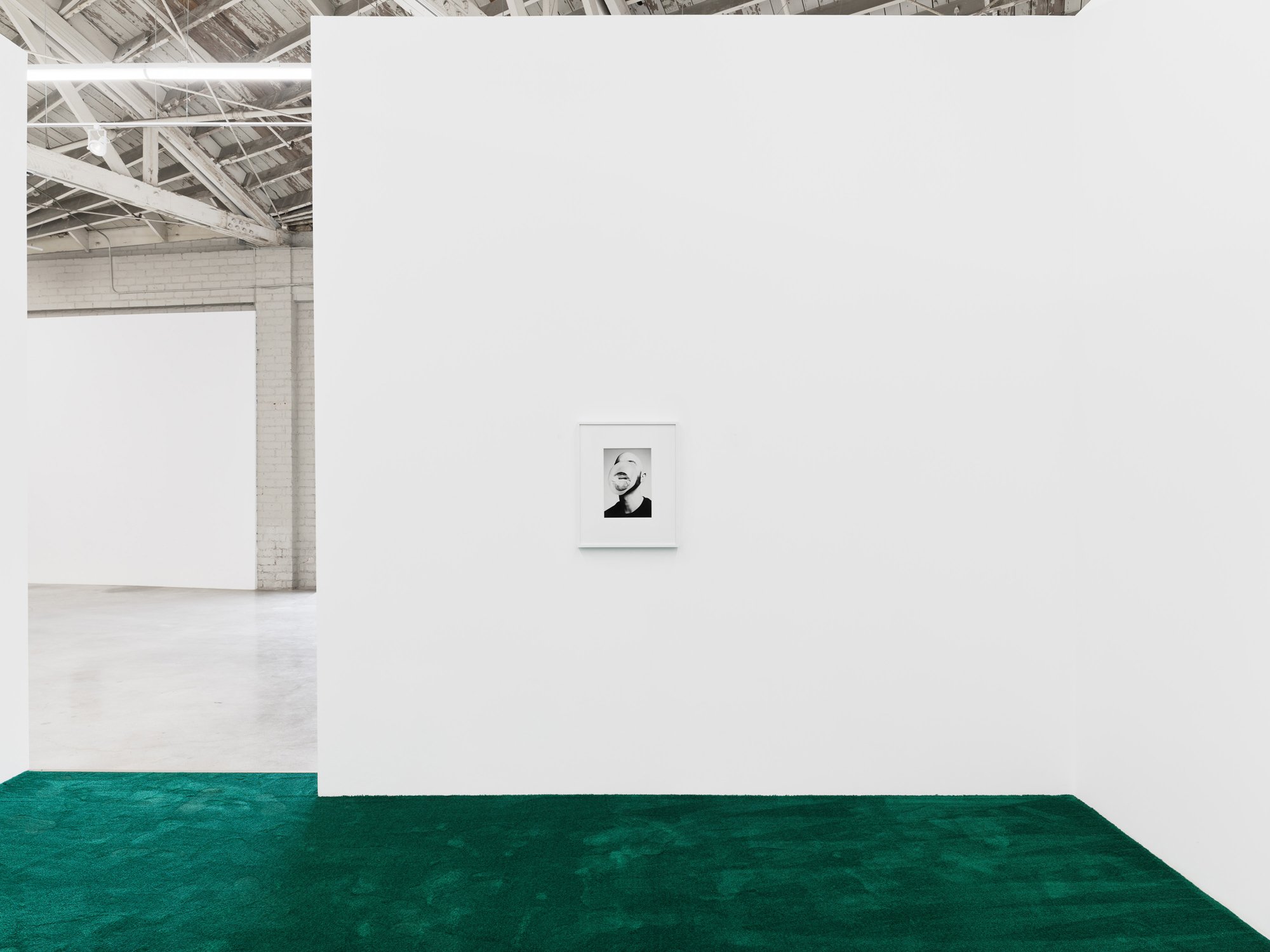   Bloom &nbsp;(2019) gelatin silver print 13” x 9.5”  Installation view of  One Eye Open  at Night Gallery, Los Angeles, USA 
