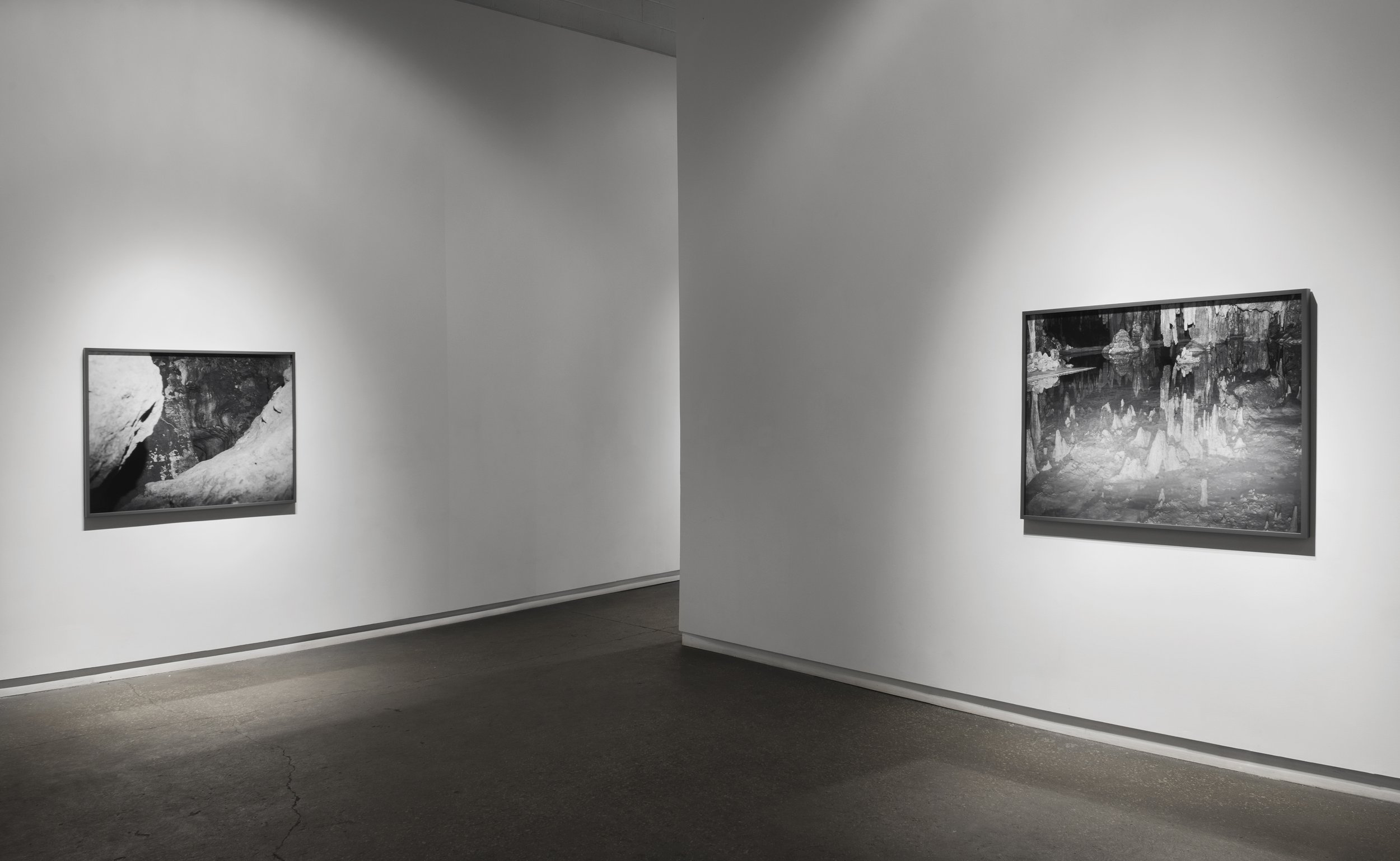   Virginia  (2013) chromogenic prints; 44” x 38”  Installation view of  Medusa  at Daniel Faria Gallery, Toronto, Canada     