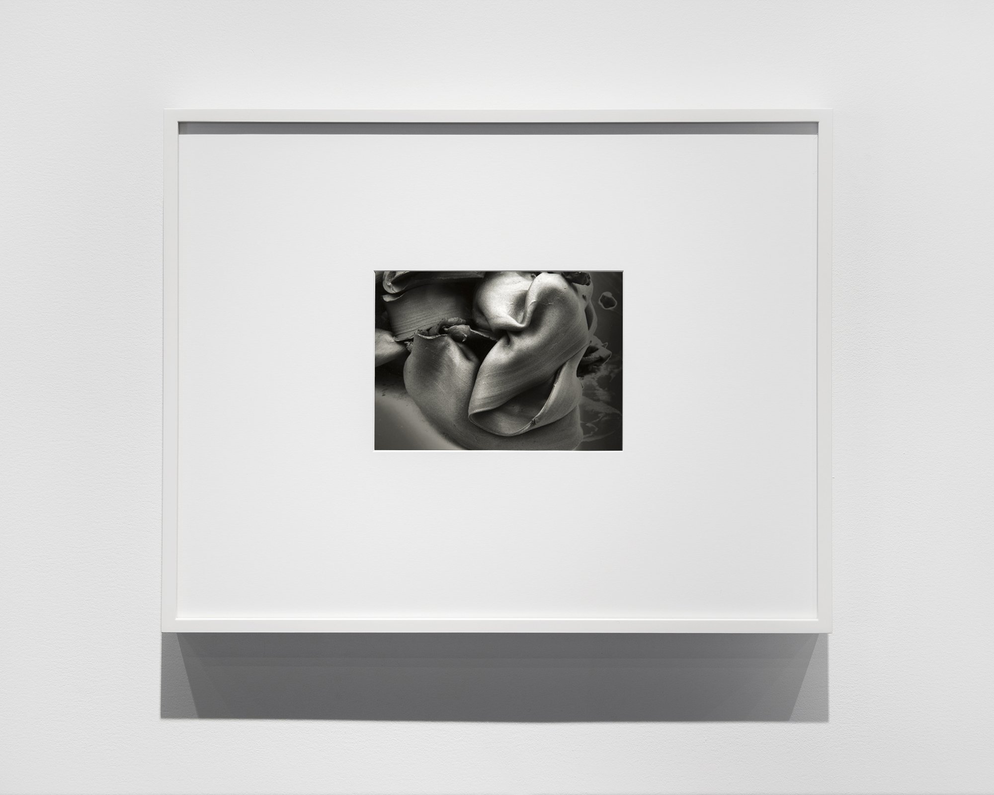  Untitled (Clay Portfolio) (2013) gelatin silver print, 7 3/4′′ x 5 3/4′′, from a portfolio of 21 images 