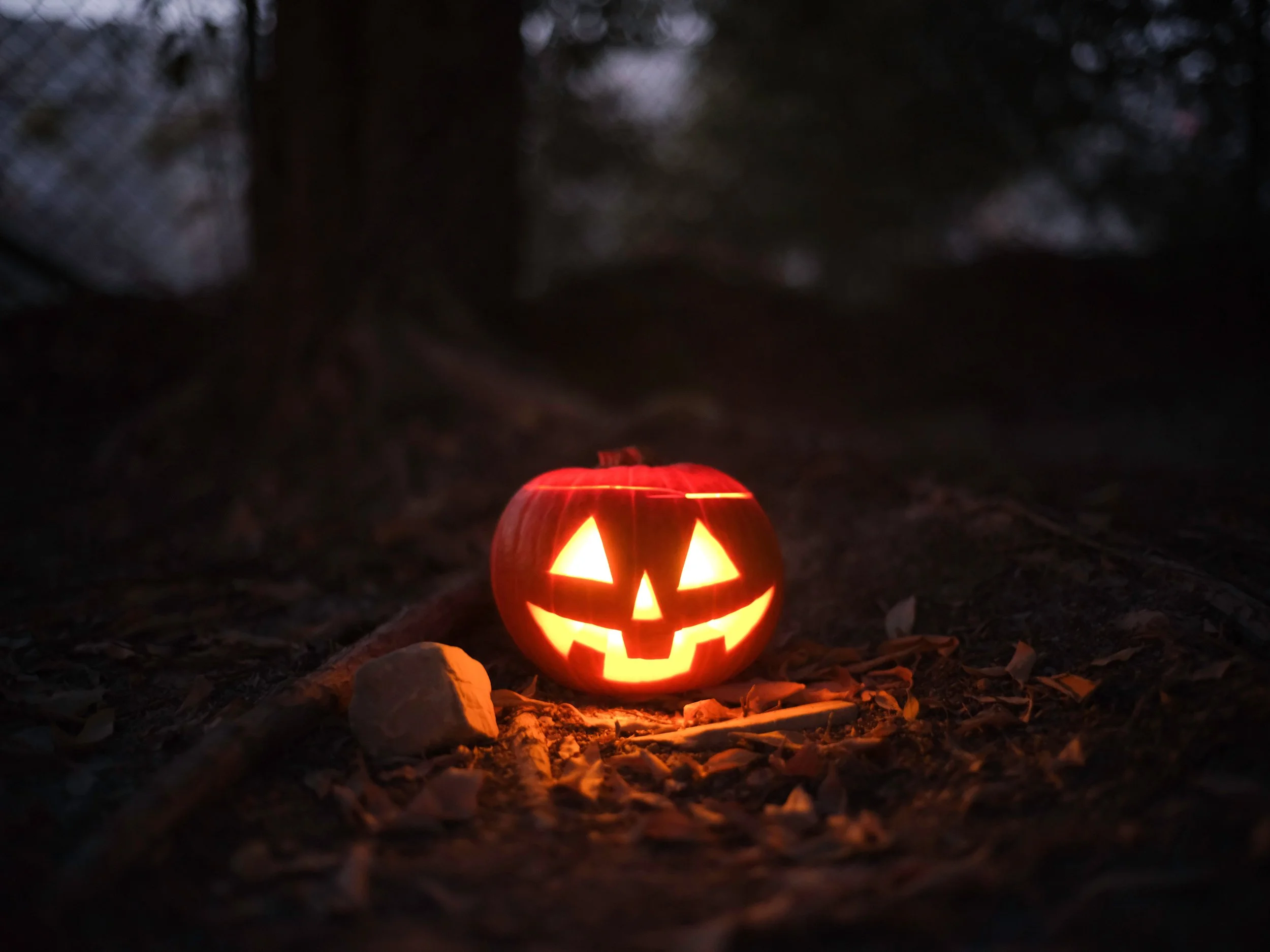 Halloween Event (All Day!)